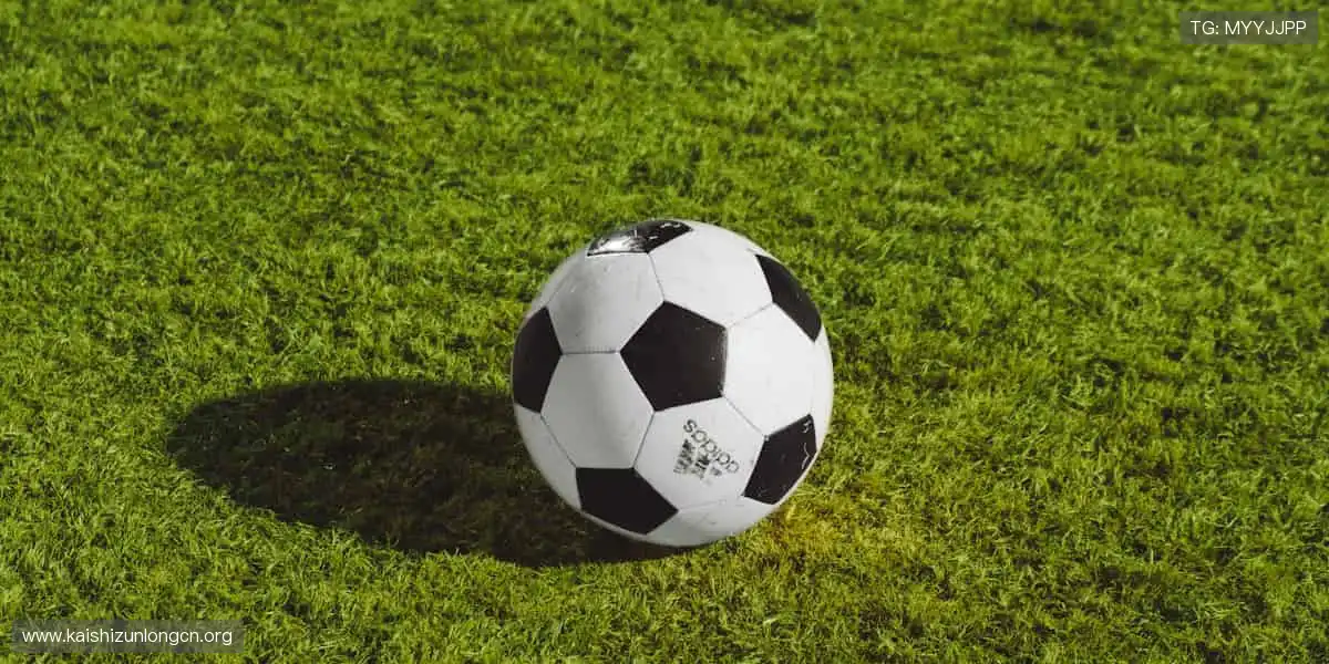 实时高清,仿佛置身比赛现场!🏀